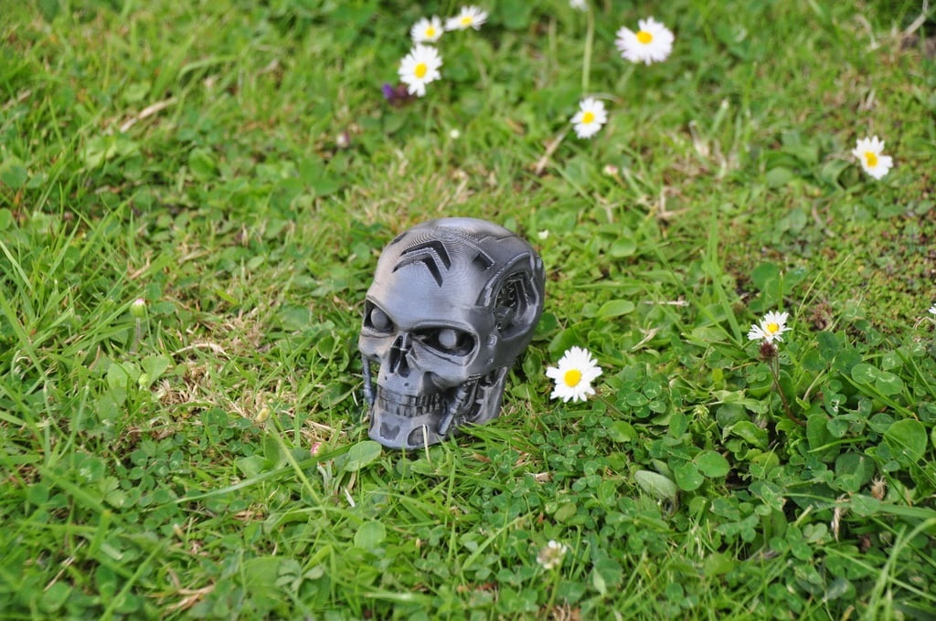 Citroen C1 Terminatör Kafalı Vites Topuzu ABS Baskı 00982 - Görsel 3