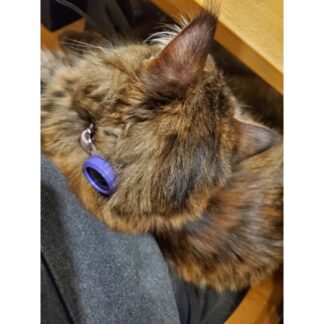 Kediler İçin Takip Cihazı Tasması ABS Baskı 06033