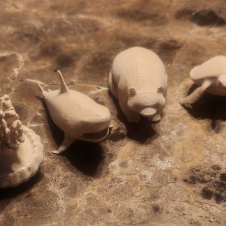 Oturan Ayı - 6902246