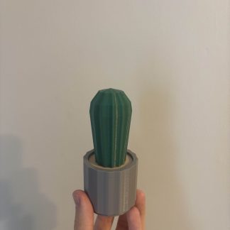 Birlikte Kaktüs Potu (Parçaları Ayrıca Yazdırabilir) - 6902876