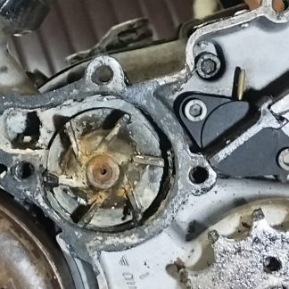 Cagiva Aletta Rossa için Su Pompası Dişlisi