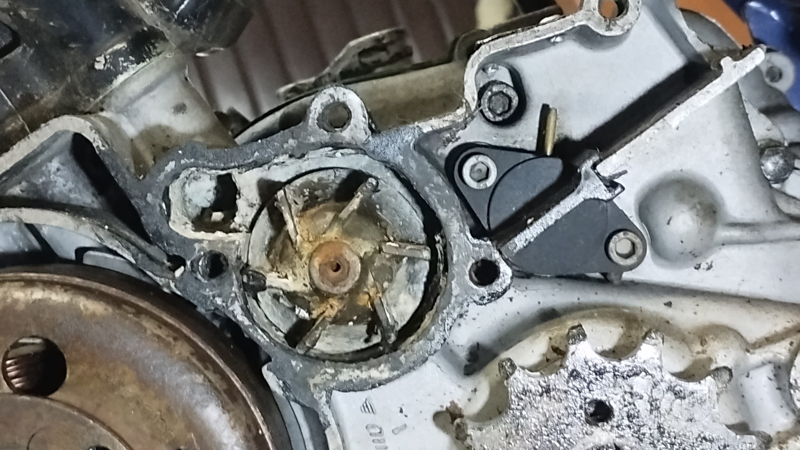 Cagiva Aletta Rossa için Su Pompası Dişlisi