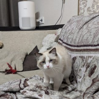 "Xiaomi MI Hava Temizleyici için Evcil Hayvan Dostu 4'lü Kompakt Ekran Koruma Seti"