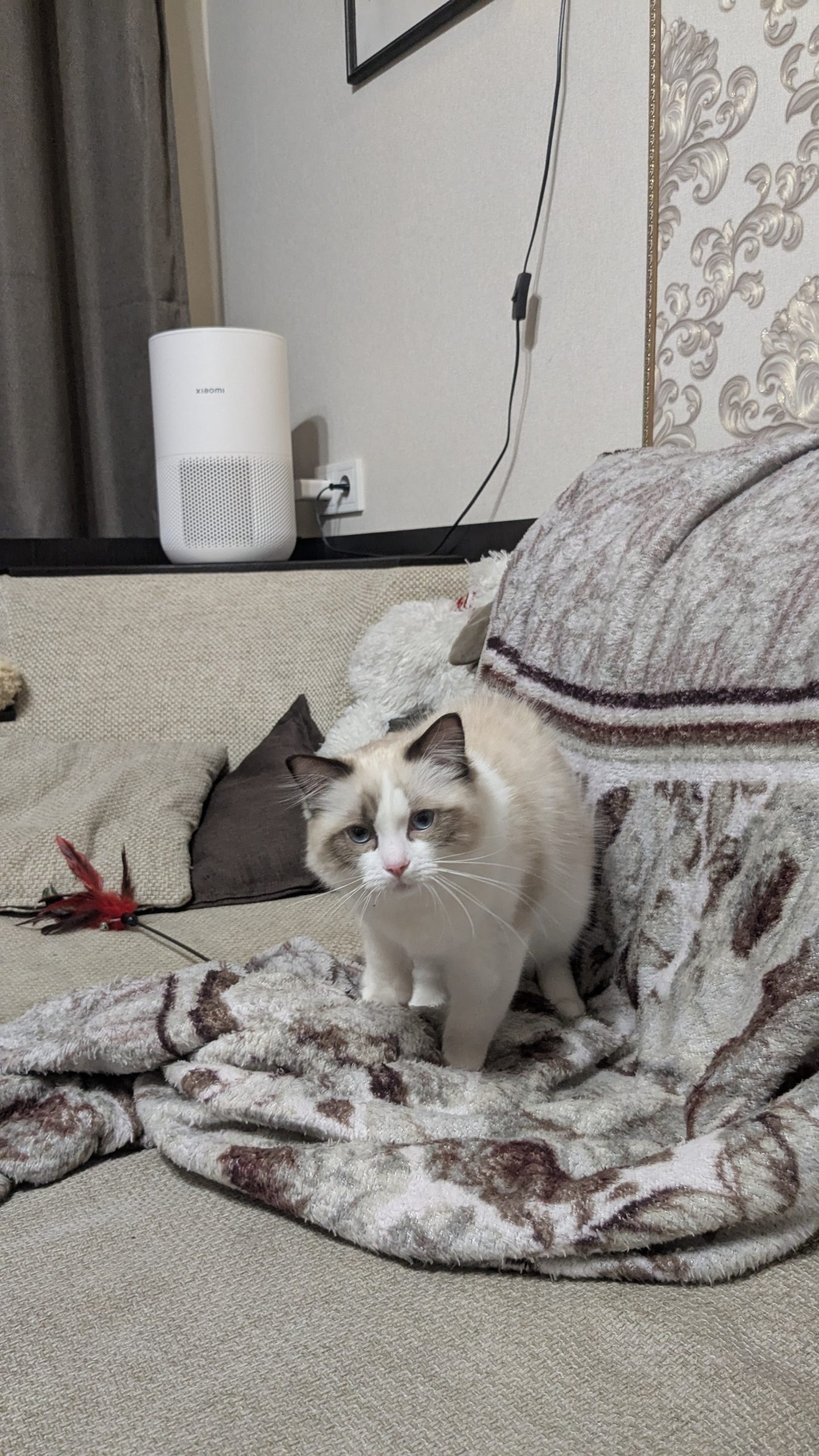 "Xiaomi MI Hava Temizleyici için Evcil Hayvan Dostu 4'lü Kompakt Ekran Koruma Seti"