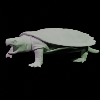 Kaplumbağa Çıkarma - 6909444