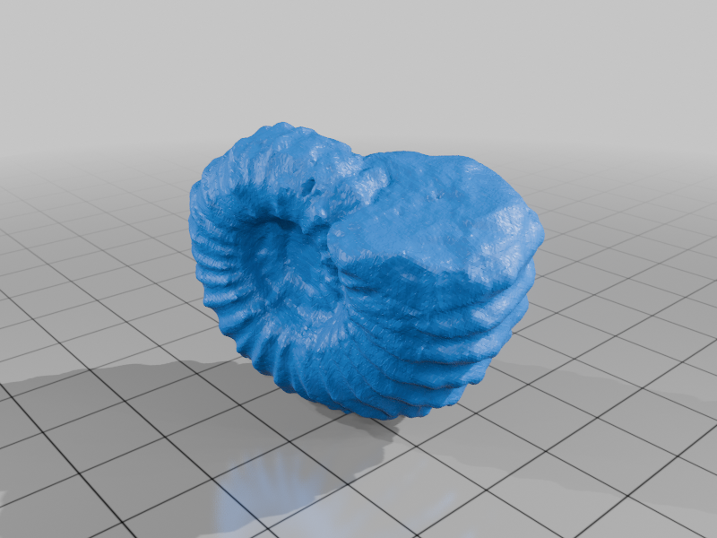 Dovevilleiceras taraması Gr. - Görsel 2