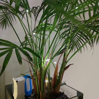 ESP32-C3 Supermini ve 18650-6908755