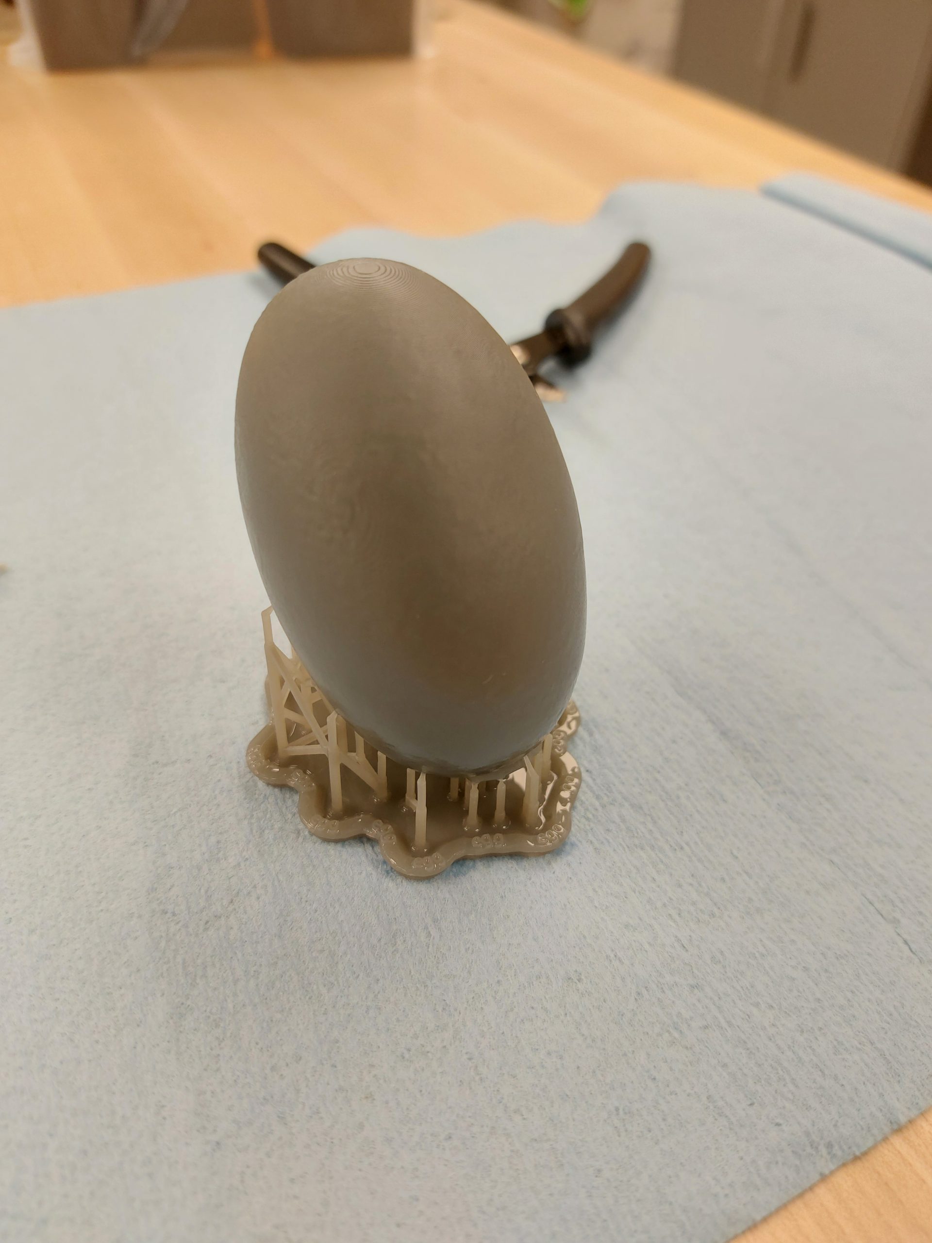 Gator Egg (3D tarama) - 6904433