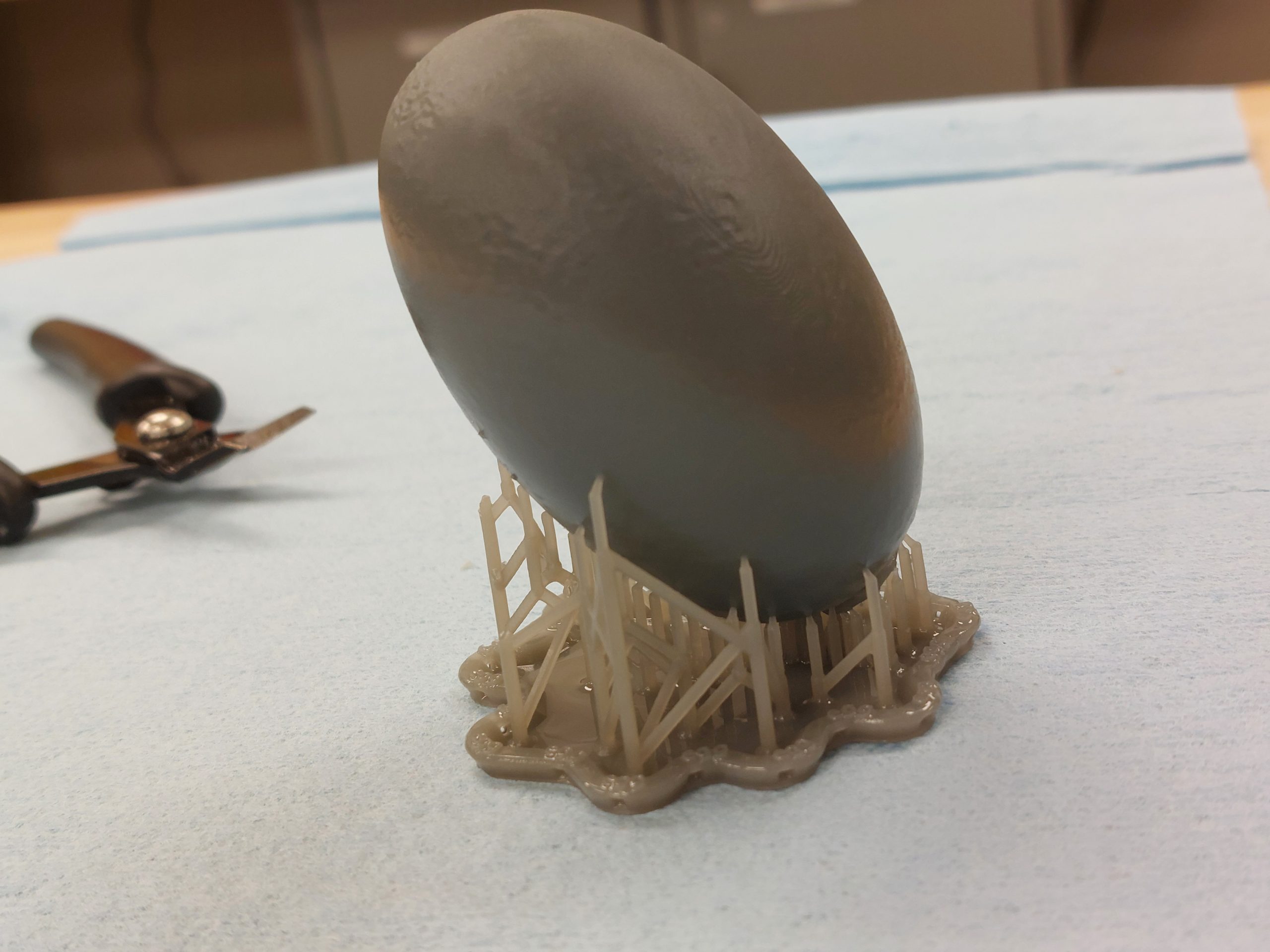 Gator Egg (3D tarama) - 6904433 - Görsel 2