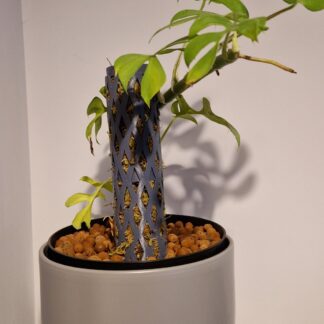 Kolay Moss Pole - 6904651