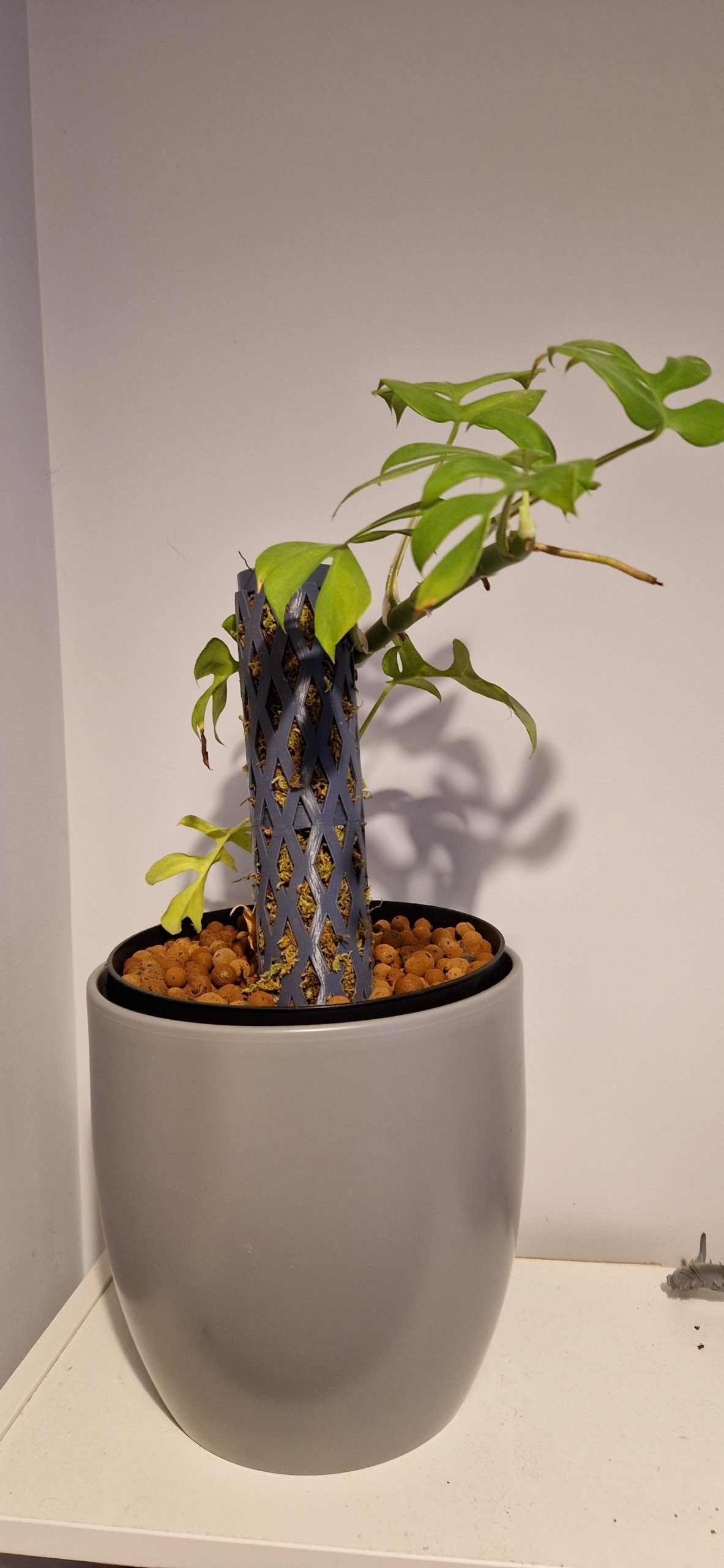 Kolay Moss Pole - 6904651