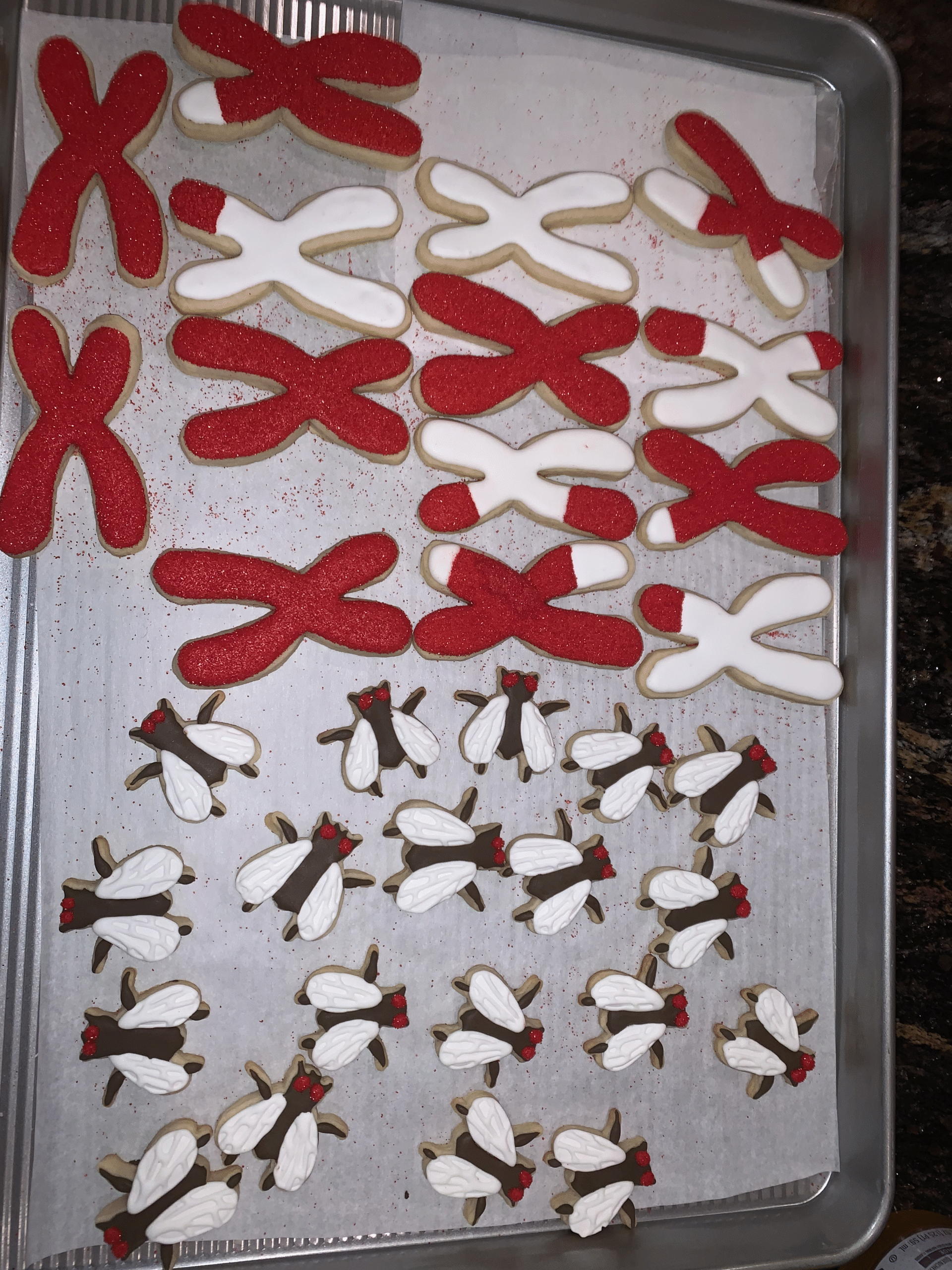 Meyve Sinek Kurabiye Kesici - 6904273