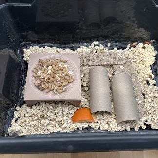 Yemek kurdu çiftliği pupa ana kampı - 6909690