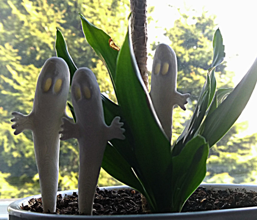 Fattihattener - 6906202