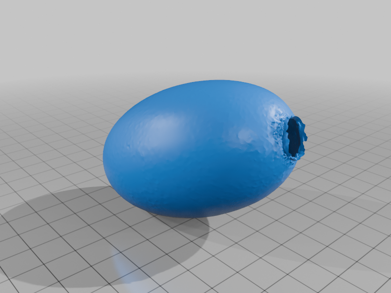 Gator Egg (3D tarama) - 6904433 - Görsel 3