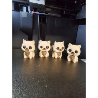 Yavru kedi İran kedisi 6754629