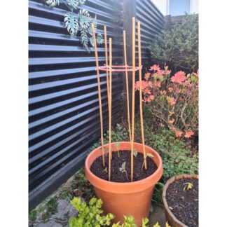 Bambu Çubuklar İçin Sebze Kafesi