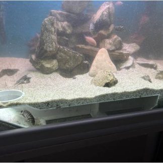 Akvaryum Teşhir Mağarası 6748406