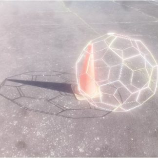 7039402'nin 13 Archim Katısının Zirveleri