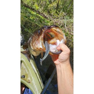 Yüzme Kalıbı 6786871