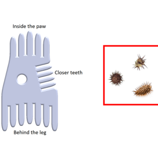Köpek Kürkündeki Çapak Dikenleri İçin Küçük Tarak 7026528