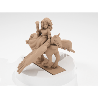 Pegasus'taki Savaş Ustası Bretonyalı Büyücü Kadın 6789748