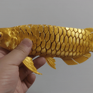 Arowana 6748289