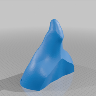 Avian Kafa Tabanı ve Gözleri 6749462