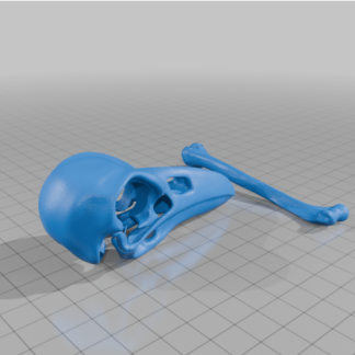 Kuzgun Kafatası Saç Kravat 6749921