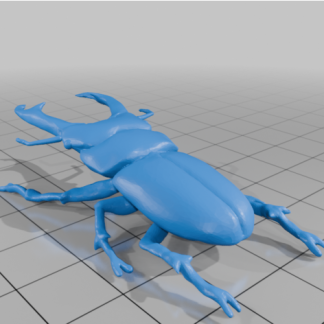 Tabanlı Minik Geyik Böceği 6755109