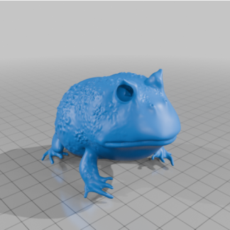 Boynuzlu Kurbağa 6752407