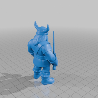 Viking Savaşçısı