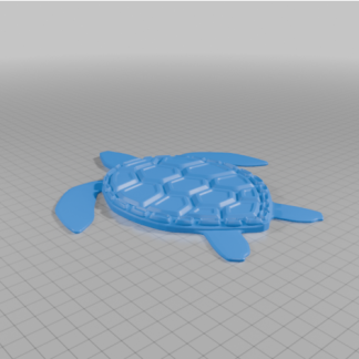 Anna S Joy Pencere Kaplumbağası 6751709