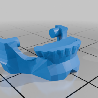 Hareketli Çeneli İskelet Kafa 6795476