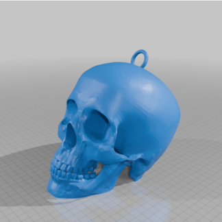 Yüzüklü Kafatası 7026875