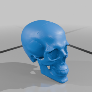 Gerçekçi Kafatası 7026595